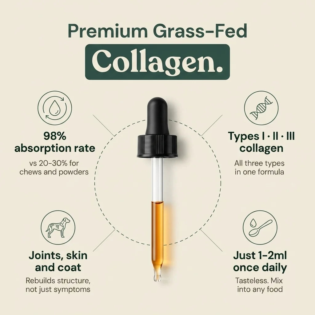 TanoVita™ Liquid Collagen